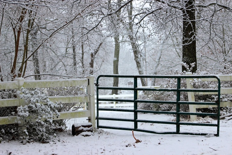 gate in snow